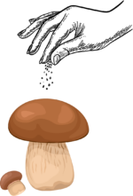 Puraviku ürdisool 60g - Image 2