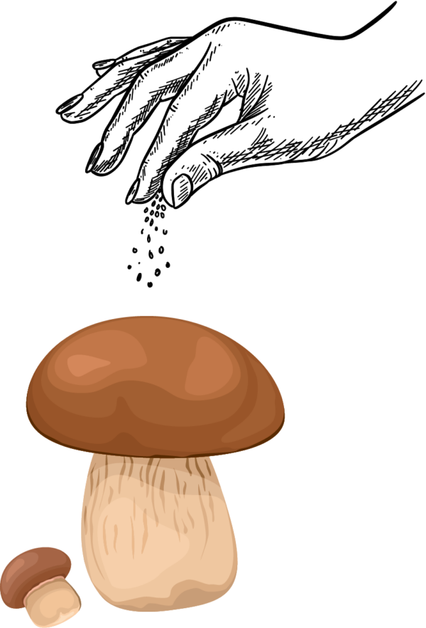 Puraviku ürdisool 60g - Image 2