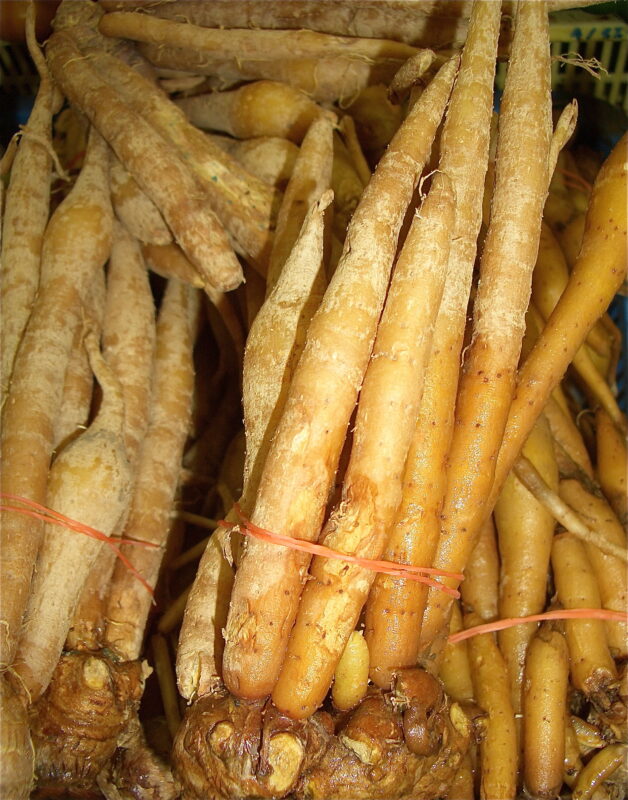 Galangal